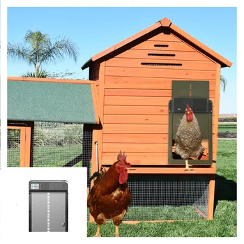 Автоматична задвижваната пилето Пуска пиле, автоматично се включва и изключва на вратата на пиле сутрин и вечер