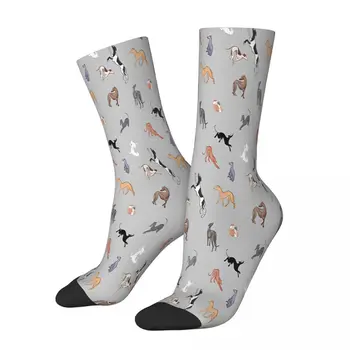 Чорапи за кучета Greys Geryhound Greyhounds Мъжки Дамски есенни чорапи в стил хип-хоп