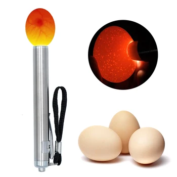 Инкубатор Eggtester Крушка за светлина на яйца LED Суперхолодное обзавеждане Инкубационният инструмент за мацка на Пъдпъдъчи яйца, Яйца за Инструменти